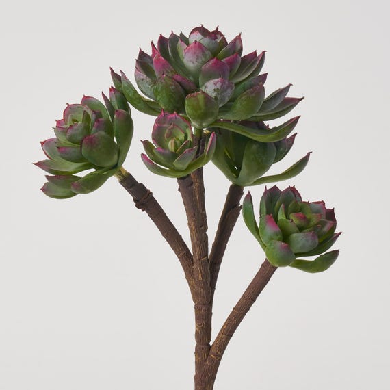 グリーン＆パープルロゼットエケベリアステムフェイクソフトPE多肉植物