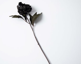 May include: A single black artificial flower with dark green leaves and a long stem.