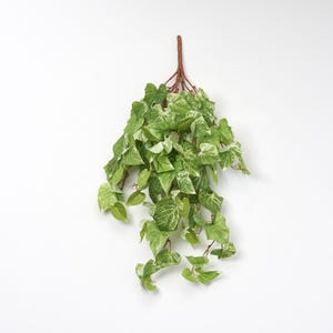 May include: A hanging artificial ivy plant with green and white variegated leaves. The plant has a brown stem and is displayed against a white background. The leaves have a heart shape.