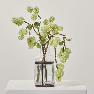 May include: A clear glass vase with a metal frame and a cluster of white flowers.