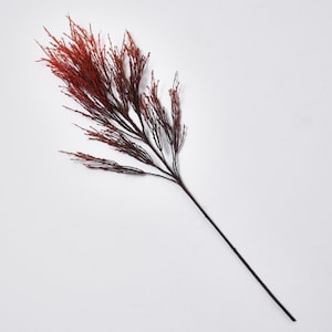May include: A single, long, brown twig with red-brown tips. The twig is a decorative element for floral arrangements.