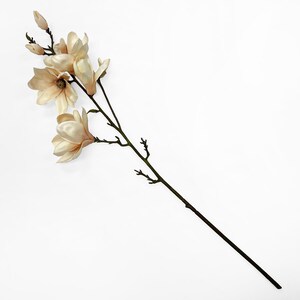 Real Touch Neutral Apricot Tree Magnolia Blossom & Bud Large Branch - 35&quot;