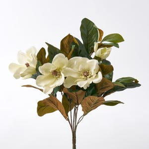 Cream Magnolia Bloom & Green Leaf Foliage Everyday Christmas Bush- 17&quot;