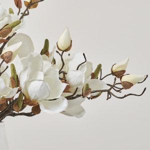 May include: A bouquet of white magnolia flowers with brown stems and green leaves. The flowers are in various stages of bloom, with some fully open and others still in bud.