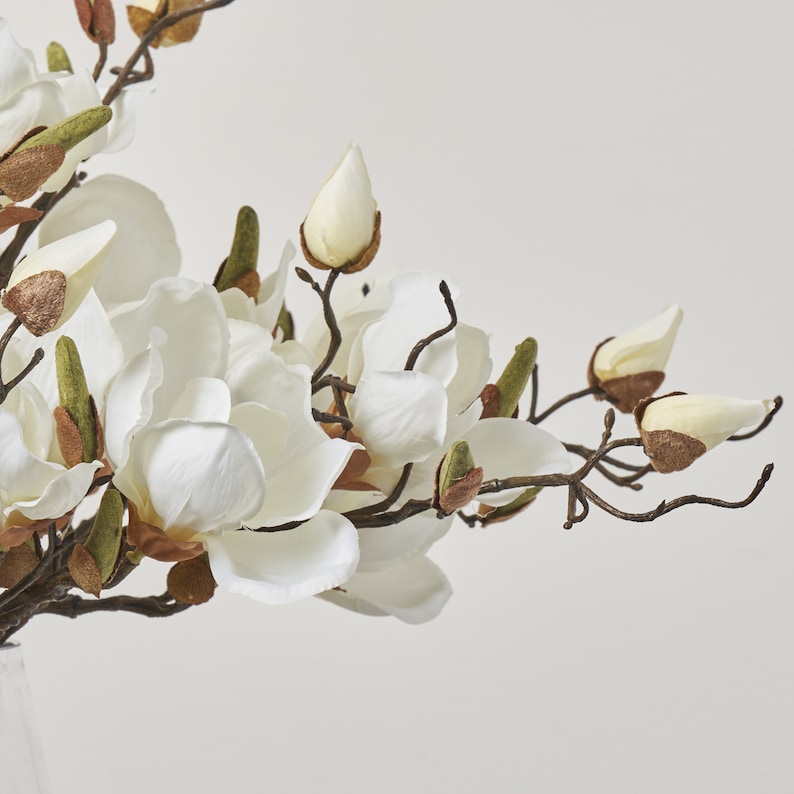 May include: A bouquet of white magnolia flowers with brown stems and green leaves. The flowers are in various stages of bloom, with some fully open and others still in bud.