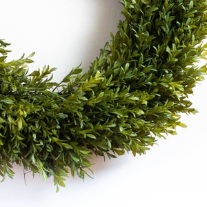 Realistic Boxwood Everyday All Seasons Spring Summer Outdoor Wreath 2 Sizes image 6