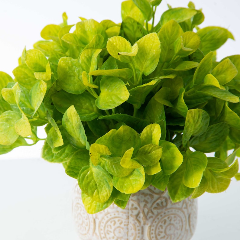 Herbs De Provence French Lavender Mint & Rosemary Faux Etsy