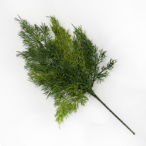 May include: A green artificial sprig of cedar with a long brown stem.