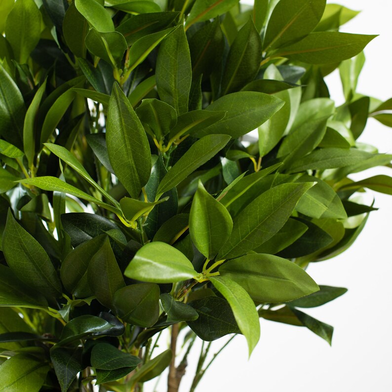 Myrtle Leafy Green Topiary Artificial Tree Plant Urn Filler Etsy