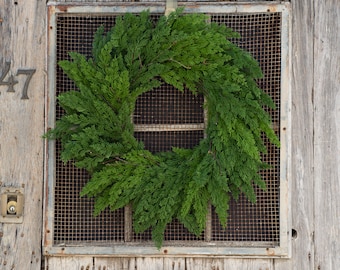 Real Touch Winter Cedar Holiday Front Door Christmas Wreath