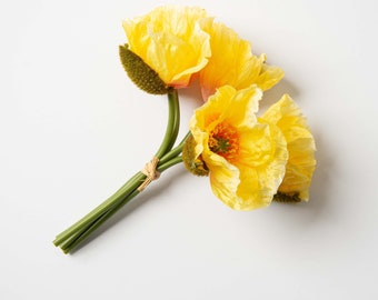 Puede incluir: Un ramo de tres flores de amapola amarillas con tallos verdes y un lazo de cuerda marrón.