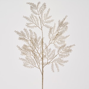 シャンパンゴールド ミモザブランチ ホリデー ウィンター スプレー - 24インチ