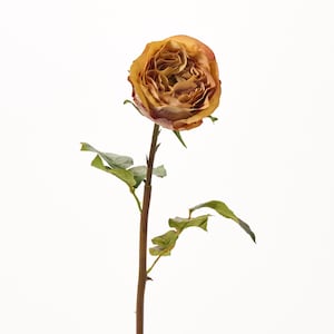 Toffee Brown Dutchess Rose Bloom Faux Floral Spray  - 21&quot;