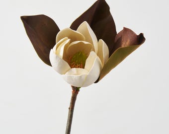 Könnte beinhalten: Eine einzelne künstliche Magnolienblüte mit cremefarbener Blüte und dunkelbraunen Blättern. Das Zentrum der Blüte hat einen grünen Stempel. Der Stiel ist dunkelbraun. Die Blume ist vor einem weißen Hintergrund platziert.