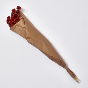 Natürlich Getrocknetes & Farm gefärbtes Gebranntes Orange Schafgarbe getrocknetes Bouquet von 10 Stielen
