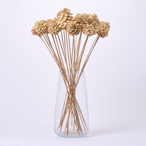 May include: A clear glass vase containing a bouquet of light tan pinecones attached to long, thin, wooden stems. The pinecones are arranged in a cluster, with each stem extending downward into the transparent, tapered glass vessel.