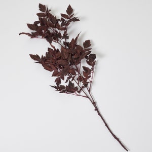 Silk Cimicifuga Ramosa Leaf Branch Faux Fall Spray 31 Dark Plum