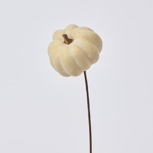 Puede incluir: Una sola calabaza artificial blanca en un tallo marrón. La calabaza es una decoración de otoño.