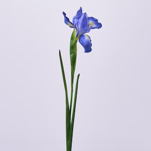 Dark Blue Silk German Iris Bloom Faux Floral Spray - 30"