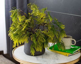 Weeping Acacia Artificial Bonsai Style Tree in Charcoal Pot