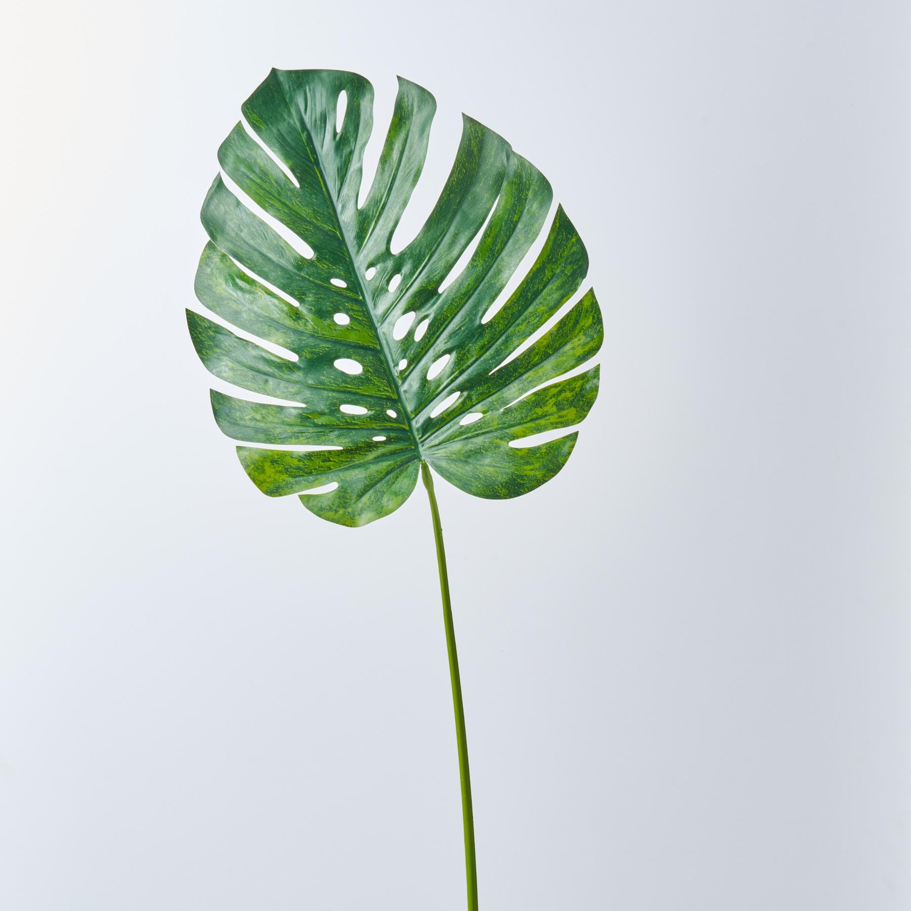 Artificial Philodendron Leaf - Etsy