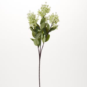 Può includere: Un rametto di verde artificiale con piccoli fiori bianchi e foglie verde scuro. Lo stelo è di colore marrone scuro. Le foglie sono di forma ovale e i fiori sono raggruppati.