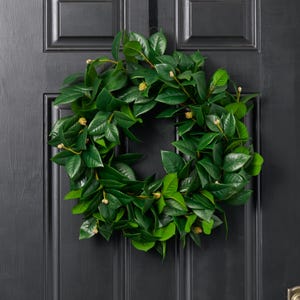 Lifelike All Seasons Camellia Leaf & Bud Everyday Winter Greenery Front Door Wreath -20" image 1