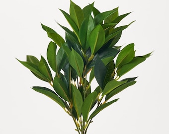 Leafy Everyday Green Shikibu Foliage Pick All Seasons Greenery Bush Spray - 15"