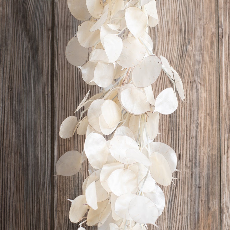 Dried Look Translucent Bleached Lunaria All Seasons Garland Multiple Lengths Available image 2