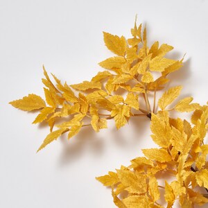 Silk Cimicifuga Ramosa Leaf Branch Faux Fall Spray 31 image 5