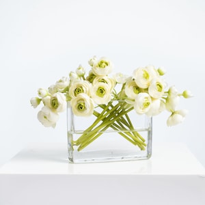 Cream & Green Mini Ranunculus Centerpiece Water Illusion Flower Arrangement in Modern Vase