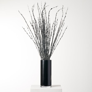 May include: A black vase with a tall, cylindrical shape holds a bouquet of black twig-like branches. The vase and branches are arranged on a white surface.