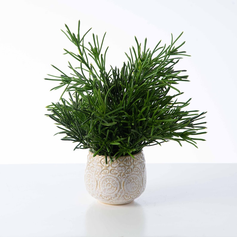 Herbs De Provence French Lavender Mint & Rosemary Faux Etsy