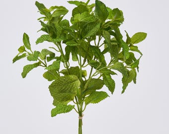 5 Foglie Di Eucalipto Autunnali Artificiali, Fake Steli Rami Di