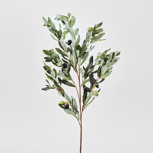 Peut inclure: Une branche d'olivier artificielle avec des feuilles vertes et des olives noires. La branche est sur un fond blanc.