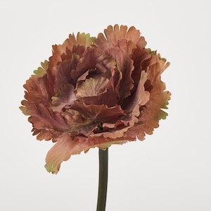Nutmeg Brown Silk Cabbage Blossom Spray - 11”