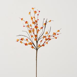 Orange & Red Bittersweet Berry Twig Branch Stem Spray - 31&quot;