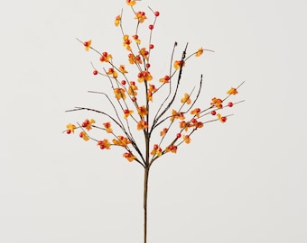 Orange & Red Bittersweet Berry Twig Branch Stem Spray - 31"
