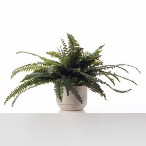 Lifelike Boston Fern In Elmwood Planter Faux Artificial Houseplant