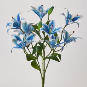 Light Blue Stargazer Lilies - Etsy