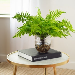 May include: A decorative fern in a cut glass vase filled with pebbles, resting on a black book titled "THE FASHION BOOK". The arrangement sits on a small, round table with a gold-colored frame and a marble-like top.