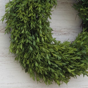 Realistic Boxwood Everyday All Seasons Spring Summer Outdoor Wreath 2 Sizes image 3