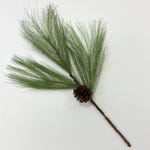 Pine Needles