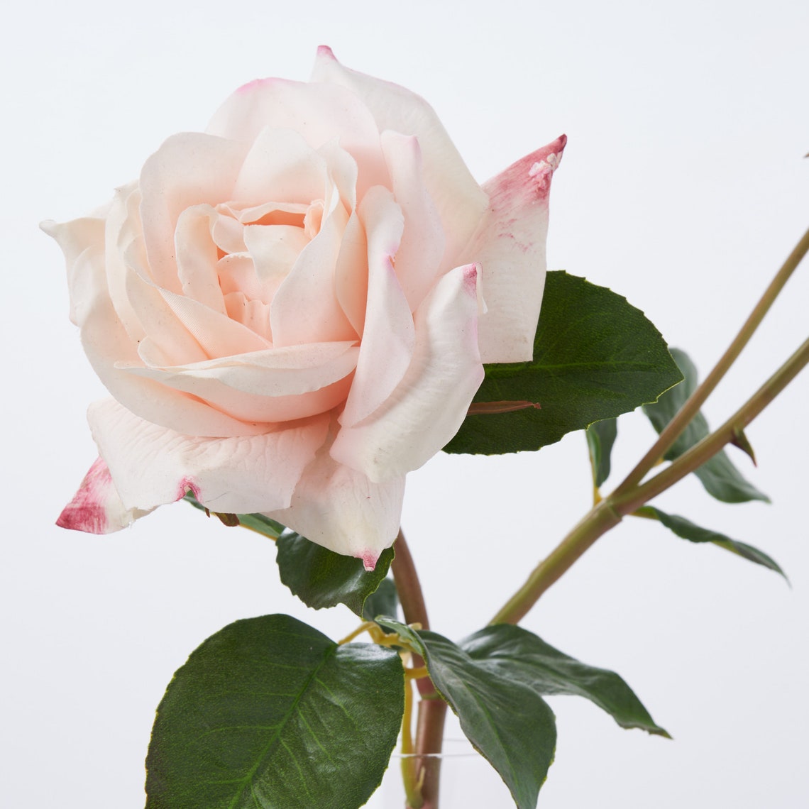 Pink Rdg Real Touch Blush Pink Rose Stem in Glass Vase, Faux Water Illusion - Etsy