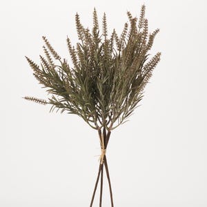 Dusty Green Astilbe Stem Bundle Dried Look Fall Foliage Bouquet -18&quot;