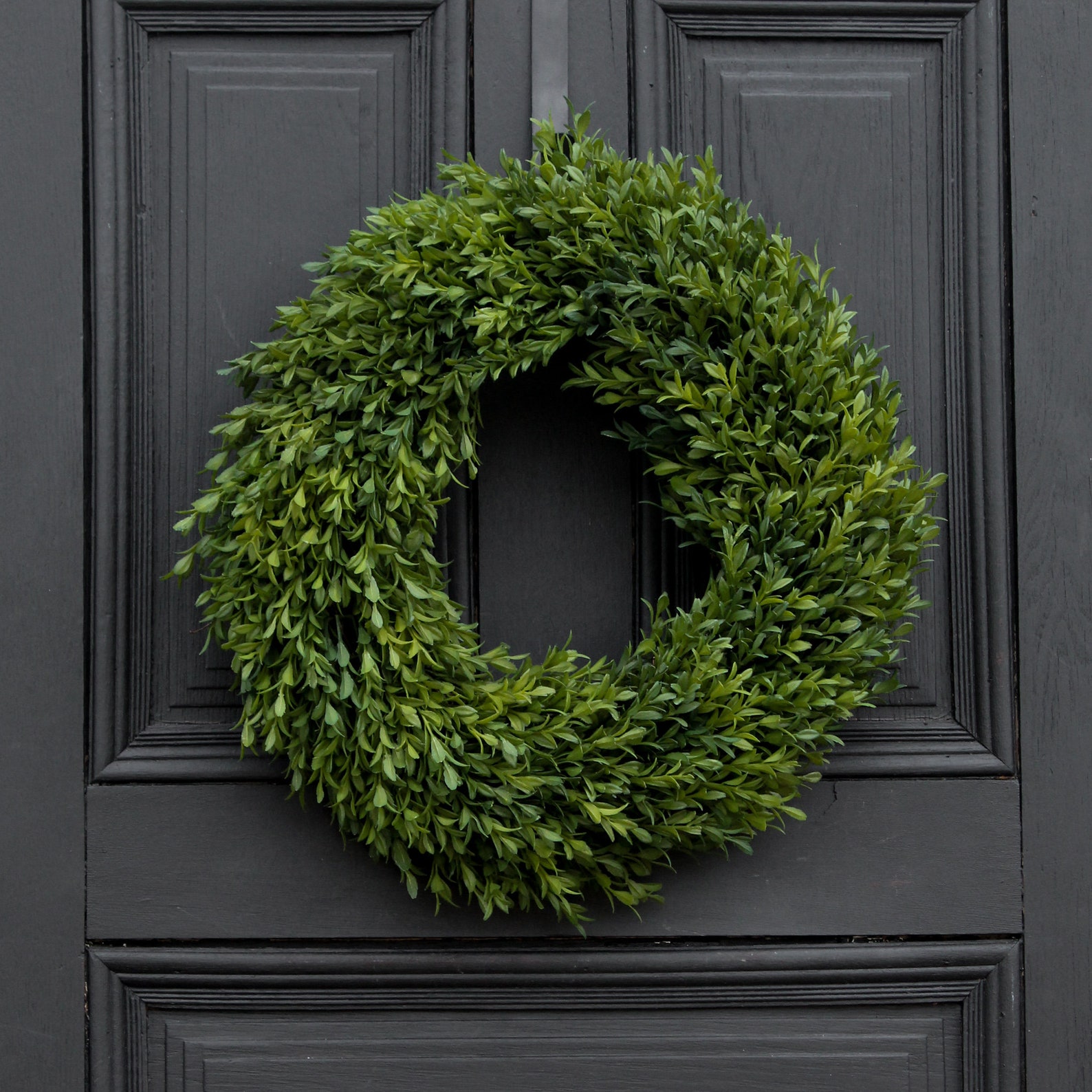 Realistic Boxwood Everyday All Seasons Spring Summer Outdoor Wreath - 3 Sizes