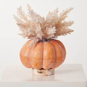 Peut inclure: Un vase en forme de citrouille décoratif avec un arrangement de pampas beige. La citrouille est orange avec une texture mouchetée et repose sur un socle en bois de bouleau.