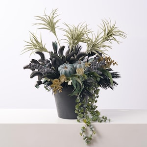 Composizione floreale di Halloween in vaso con dionea, zucche color verde acqua, pino nero, tillandsia e mini succulente.