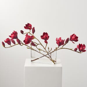 Vinröd Bloomin Magnolia-grenar i modern oval fickvas Vardagligt höstvattenillusionsarrangemang