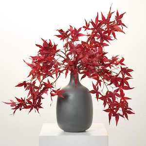 May include: A dark gray vase holds a vibrant arrangement of red maple leaves. The leaves have a detailed, natural appearance, with multiple points and varying shades of red. The vase has a smooth, matte finish and a rounded shape. The arrangement sits on a white surface.